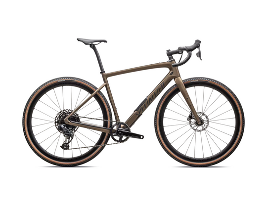 Diverge Expert Carbon 2025