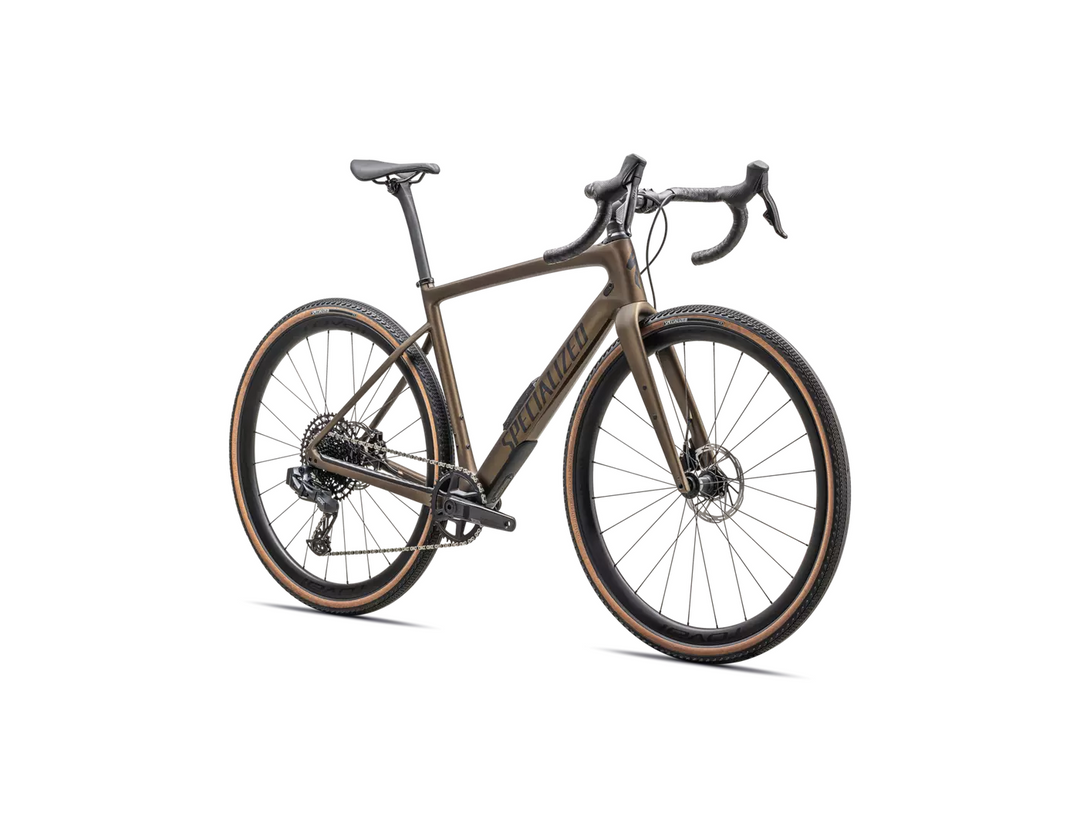 Diverge Expert Carbon 2025