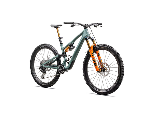 S-Works Stumpjumper 15 LTD 2025