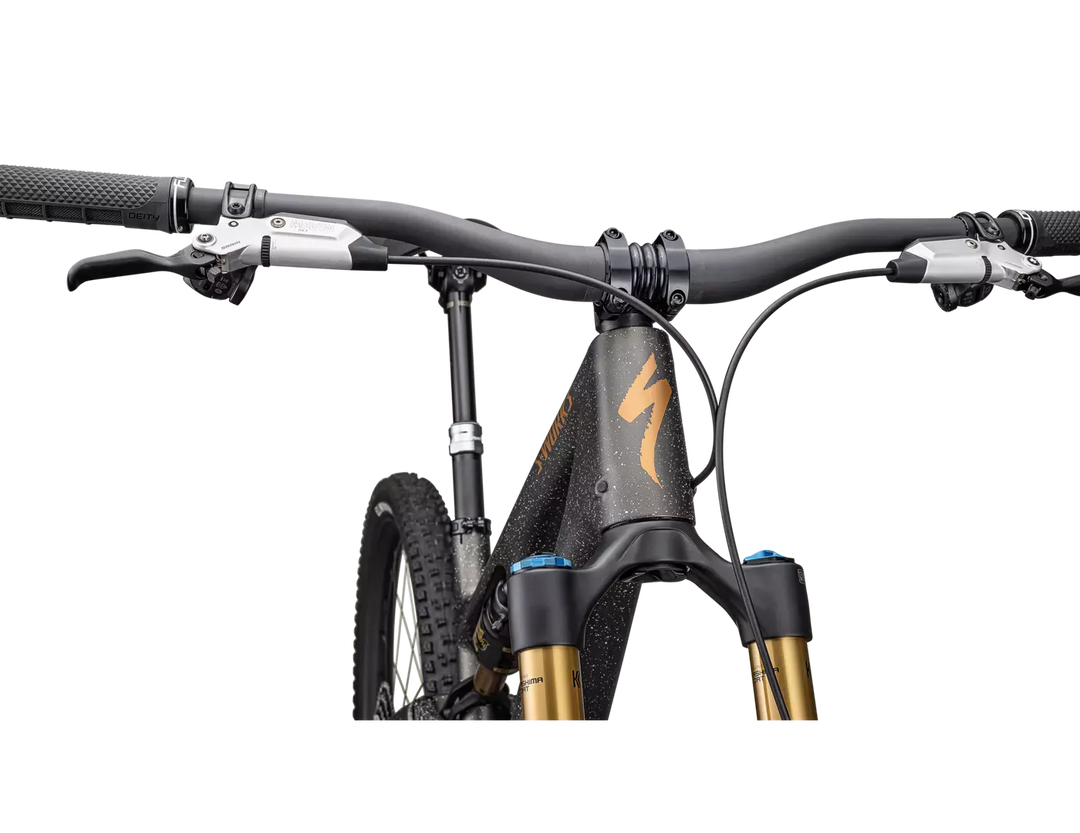 S-Works Stumpjumper 15 2025