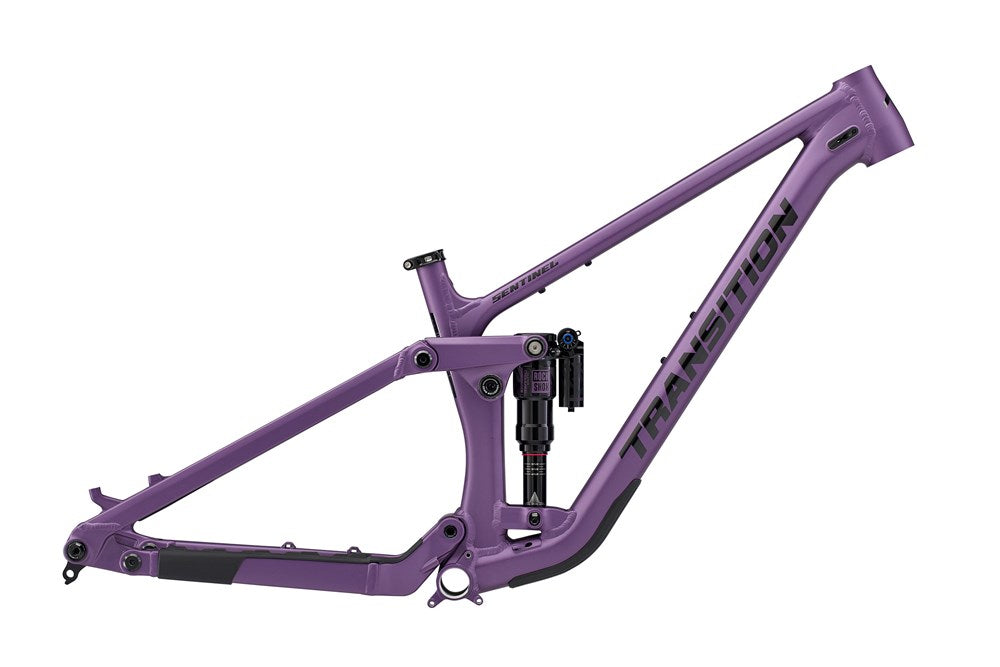 Sentinel Alloy Frameset 2024