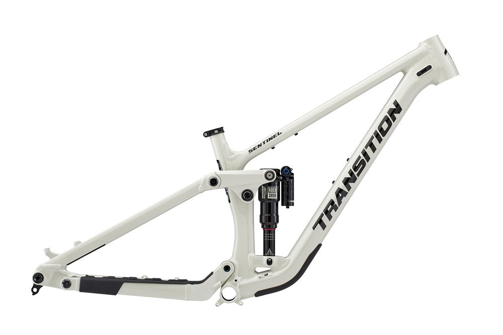 Sentinel Alloy Frameset 2024