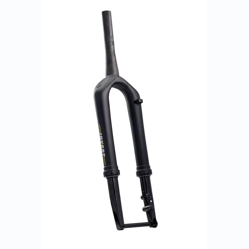 Cane Creek Invert CS Gravel Fork 40mm with Ancora expander plug and 52mm bearing

